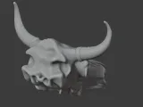Bull Skull-4