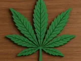 💨 Cannabis Leaf Coaster 💨-4