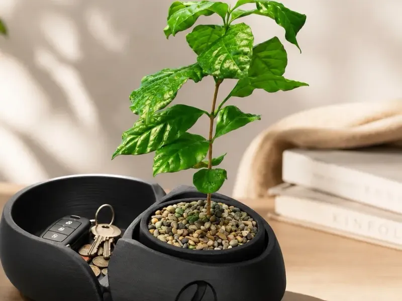 Organizzatore per chiavi con vaso per piante