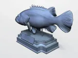 GROUPER-3
