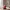 Dragon fruit Art Deco Poly Decoration 3D