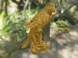 parrot perroquet-5