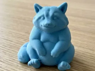 Raccoon Buddy