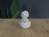 Hatched Chicken-0
