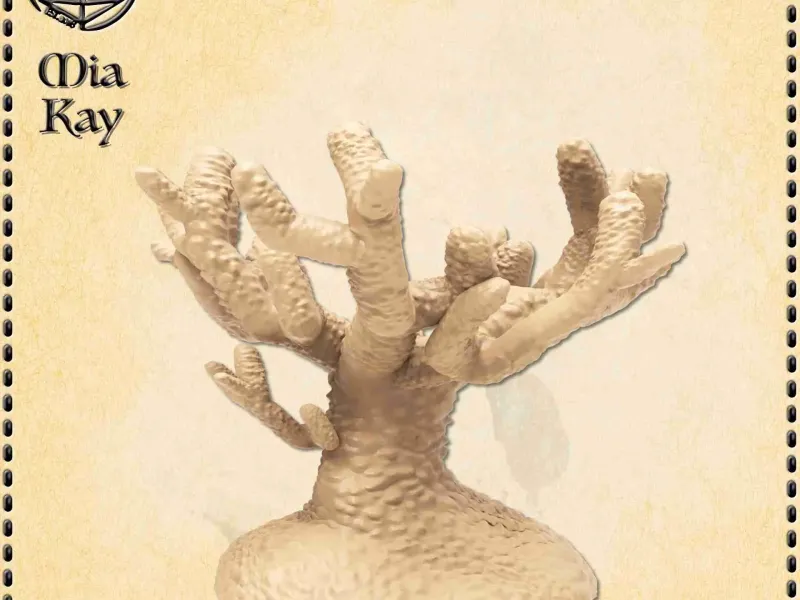 Coral (scurt și înalt)