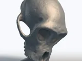 Monkey Skull 3D Model - Primate Anatomy Sculpture-6