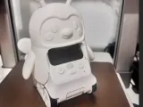 CODEY ROCKY BEE-1