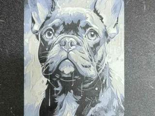 French Bulldog Painted Picture