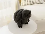 Grumpy Turtle-2