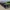 mk4 Lincoln Continental