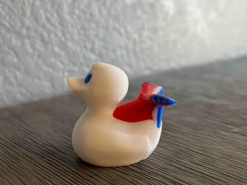 carnival cruise whale tail duck