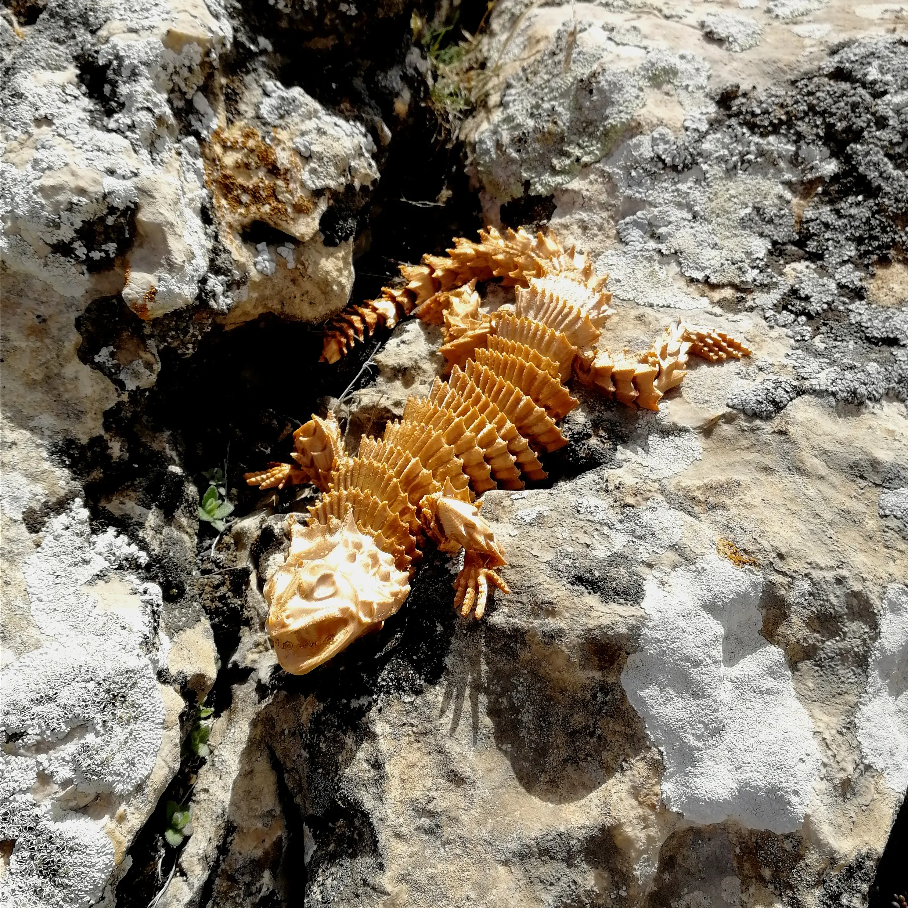 GOLDEN LIZARD (LAZY FLEXI)