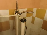 Shower door bottom hinge pin-6