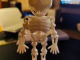Tiny flexi skelleton-2