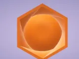 Egg Holder-3