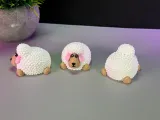 Cute Sheep-1