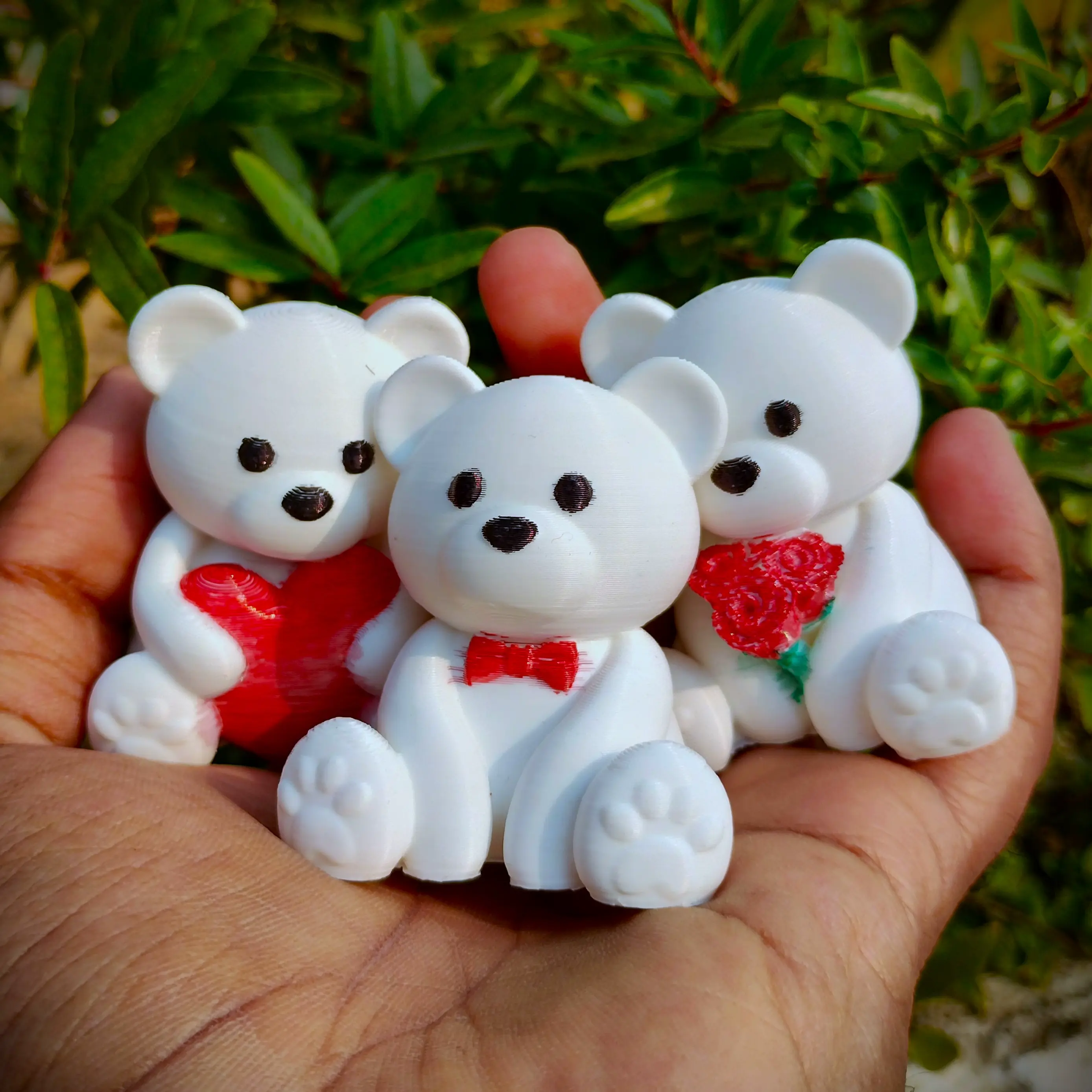 Valentine's Special - Teddy Bear Collection