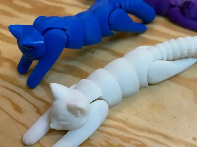 flexi cat 