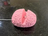 Brain phone stand-1