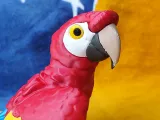 Scarlet Macaw-6