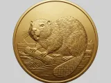 Beaver Token-0