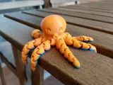Mini polpo carino -1