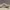 Chenille - low poly