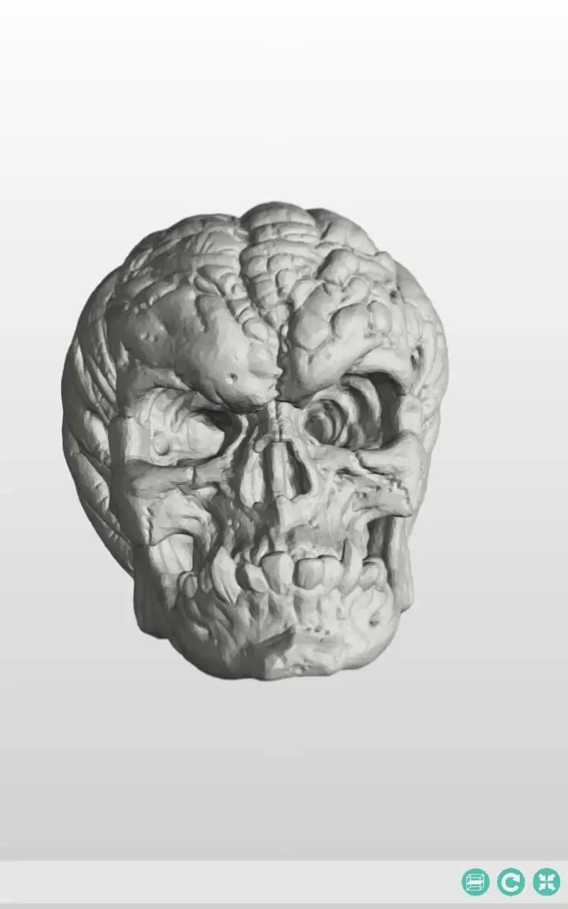 Pumkin skull