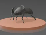 African Beetle 3D Model-0