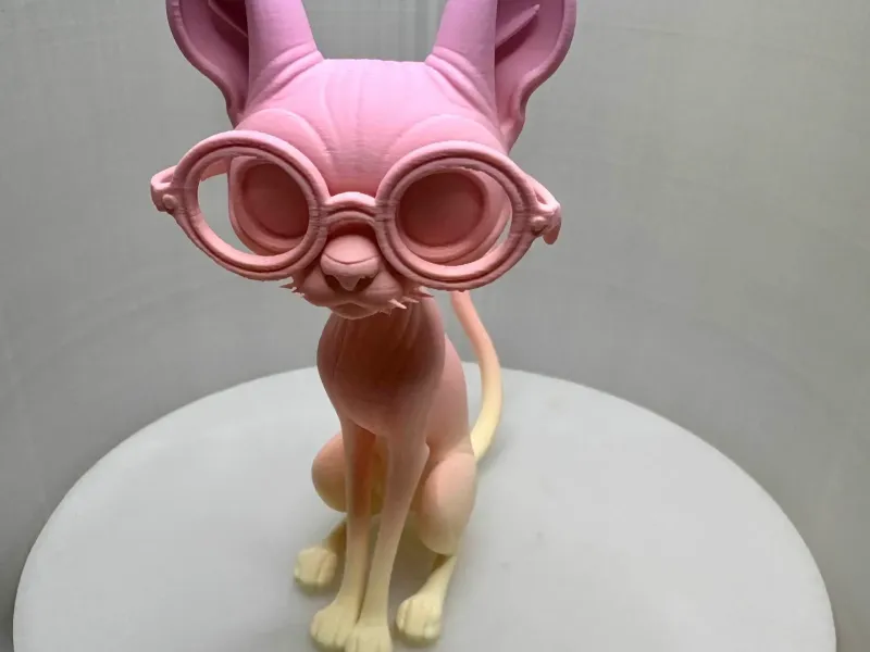Professor Whiskers – De Geleerde Sphynx