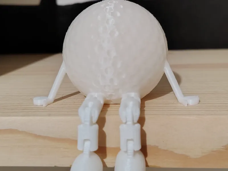 Golf ball buddy 