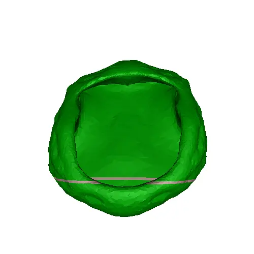 Reptile meal worm bowl or water bowl