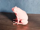 Low Poly Frog-5