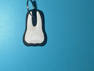 Human Tooth Keyring