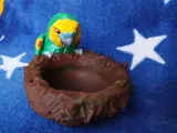 Amazon Nest Bowl-9