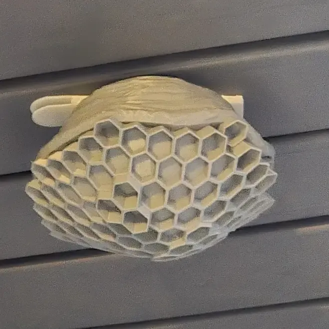 wasp  decoy/ fake waspnest