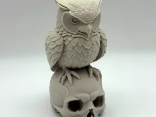 Owl on Skull