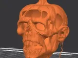 “Pumpkin Shrunken Head”-2