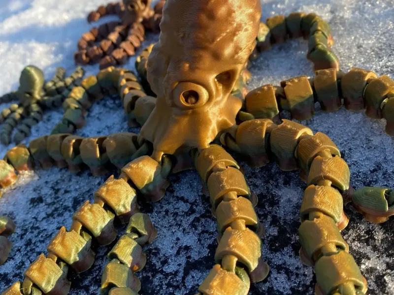 Oktopus und Jungtier