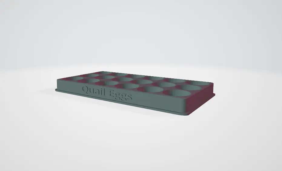 Quail Egg Container / 18  EGGS CONTAINER
