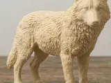 Wolf - simple and easy to print-1