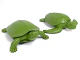 Turtles 2-0