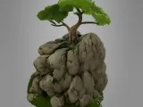MINIATURE GREEN TREE-5