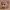 Ratatta Pokemon Chibi