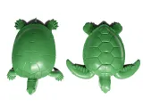 Turtles 2-6