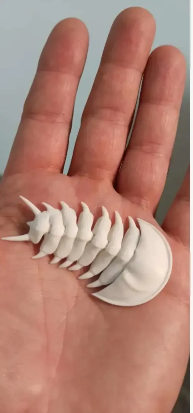 Trilobite flessibile, animale preistorico articolato 3D FFF