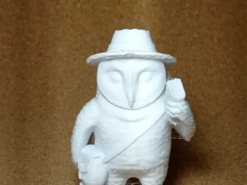 Professor coruja