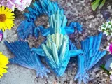 Flower Sprite-2