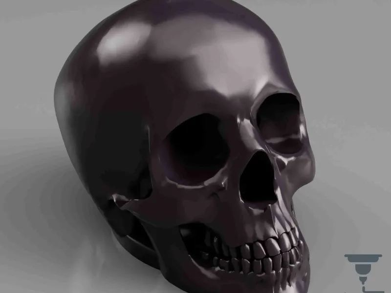 Neil E. Skull Versiunea 2.0 - Print-In-Place