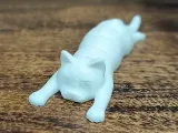 cat flexi-0